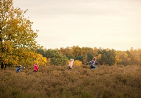 Herfstvakantiebevraging - Zonhoven - De Teut