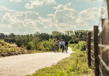 Vakantiebevraging augustus - fietsen in Limburg